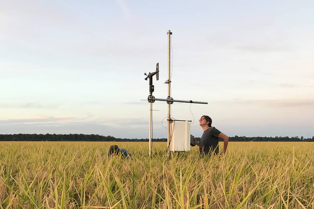 A person taking measurements in a field